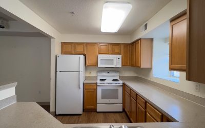 WhatsApp Image 2025-04-21 at 21.37.25_4837d7b5